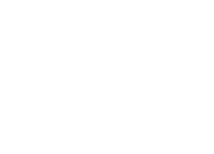 lindt white logo