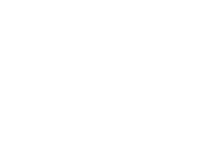 rude health logo white